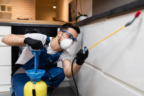 Wildlife Control Services in Bellflower, CA