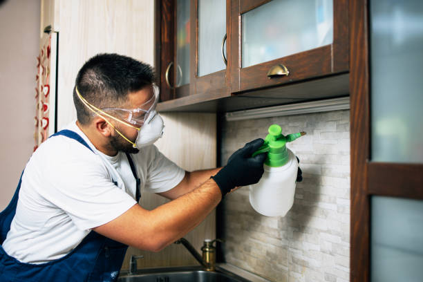 Bellflower, CA Pest Control Company