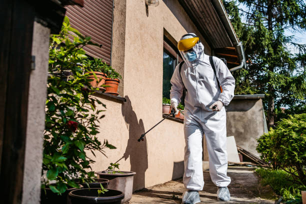 Best Affordable Pest Control Services  in Bellflower, CA